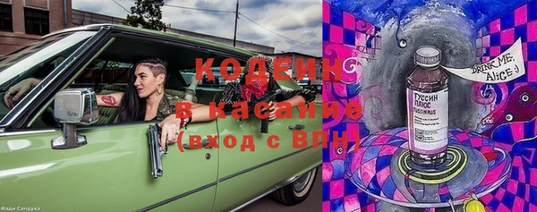 прущие грибы Аксай