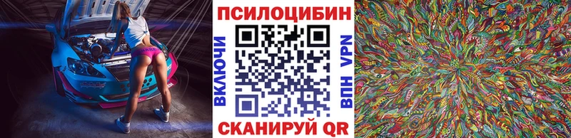 Псилоцибиновые грибы Psilocybine cubensis  закладка  Фатеж 